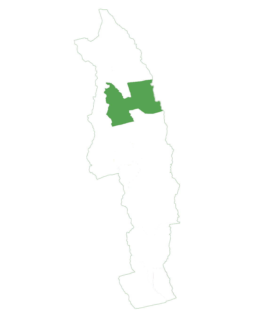 Topography
